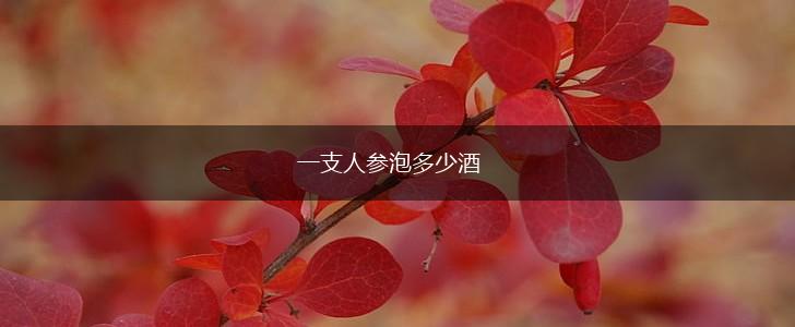 一支人参泡多少酒,第1张