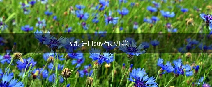 福特进口suv有哪几款,第1张