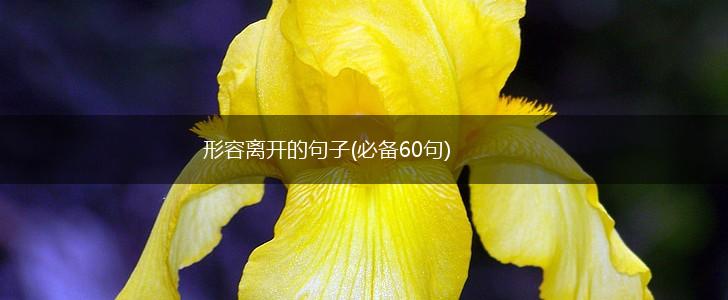 形容离开的句子(必备60句),第1张