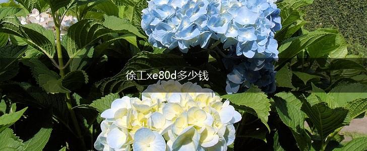 徐工xe80d多少钱,第1张
