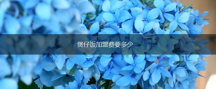 煲仔饭加盟费要多少,第1张