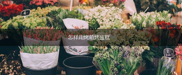 怎样用烤箱烤蛋糕,第1张