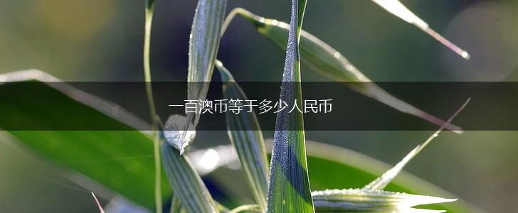 一百澳币等于多少人民币,第1张
