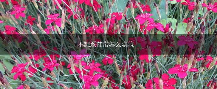 不想系鞋带怎么隐藏,第1张