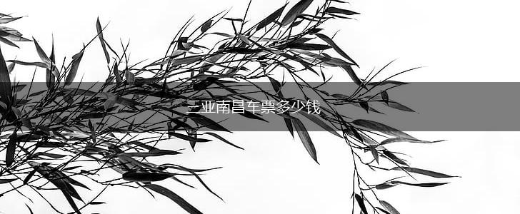 三亚南昌车票多少钱,第1张