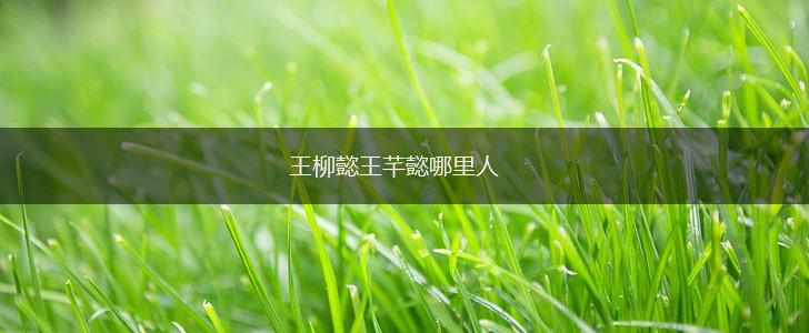 王柳懿王芊懿哪里人,第1张