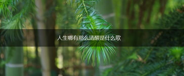 人生哪有那么清醒是什么歌,第1张