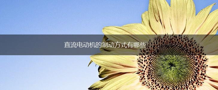 直流电动机的制动方式有哪些,第1张