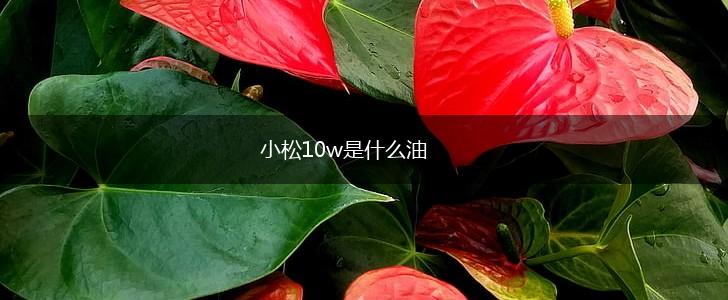 小松10w是什么油,第1张