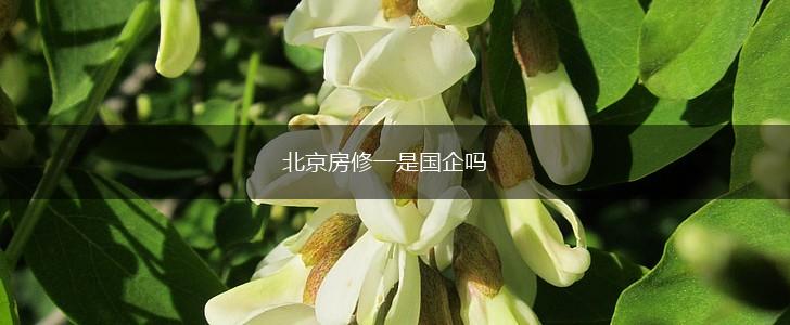 北京房修一是国企吗,第1张
