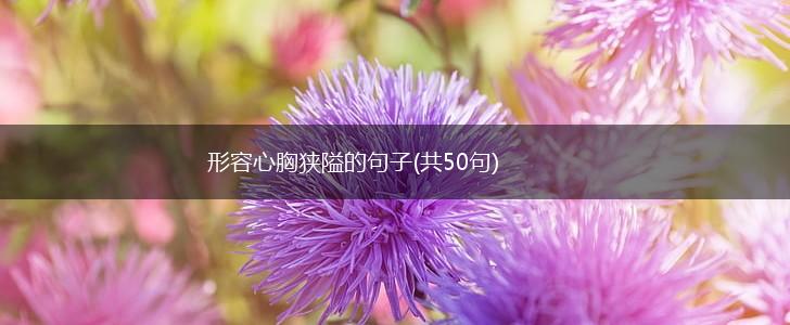 形容心胸狭隘的句子(共50句),第1张