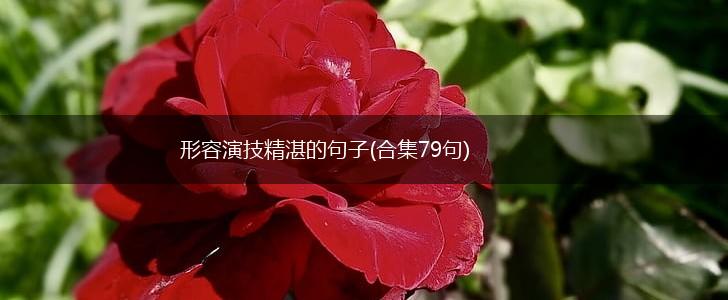 形容演技精湛的句子(合集79句),第1张