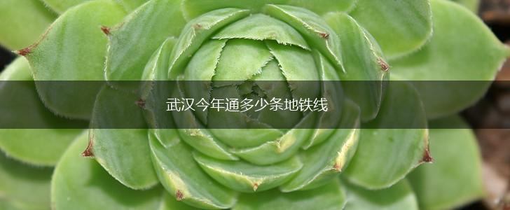 武汉今年通多少条地铁线,第1张