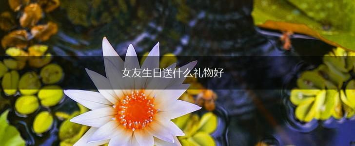 女友生日送什么礼物好,第1张