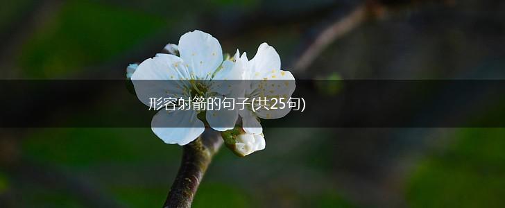 形容射箭的句子(共25句),第1张