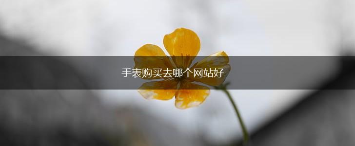 手表购买去哪个网站好,第1张