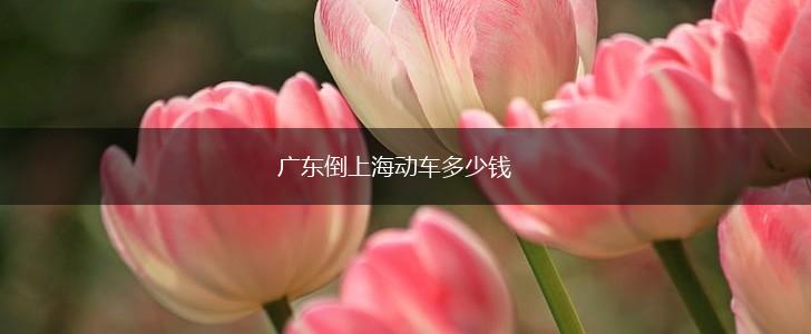广东倒上海动车多少钱,第1张
