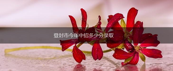 登封市今年中招多少分录取,第1张