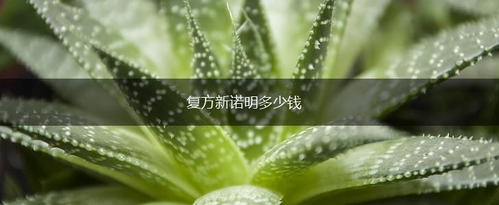 复方新诺明多少钱,第1张