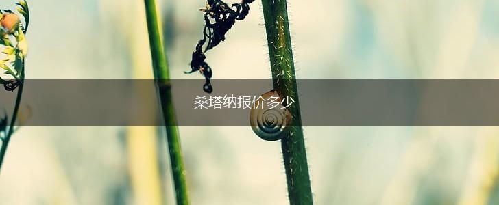 桑塔纳报价多少,第1张