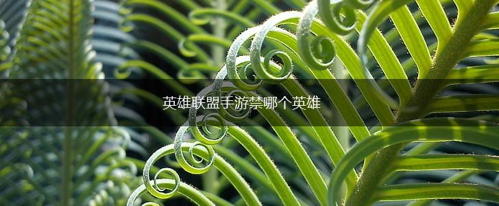 英雄联盟手游禁哪个英雄,第1张