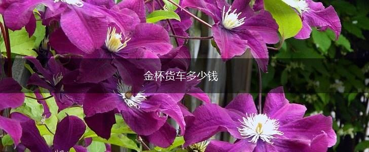 金杯货车多少钱,第1张