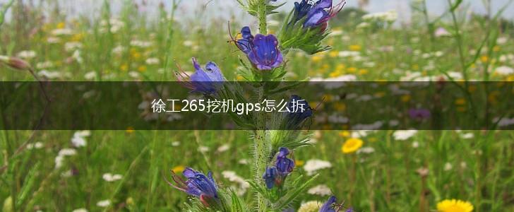 徐工265挖机gps怎么拆,第1张
