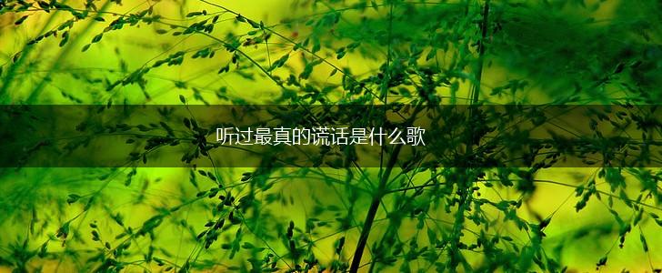 听过最真的谎话是什么歌,第1张