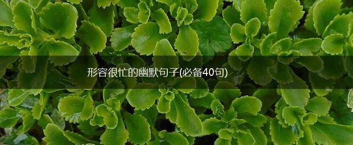 形容很忙的幽默句子(必备40句),第1张