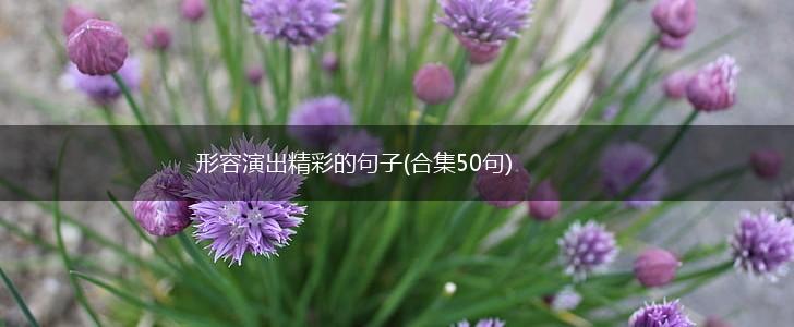 形容演出精彩的句子(合集50句),第1张