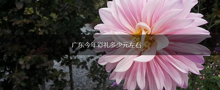 广东今年彩礼多少元左右,第1张