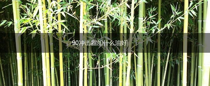 90冲击器加什么油好,第1张