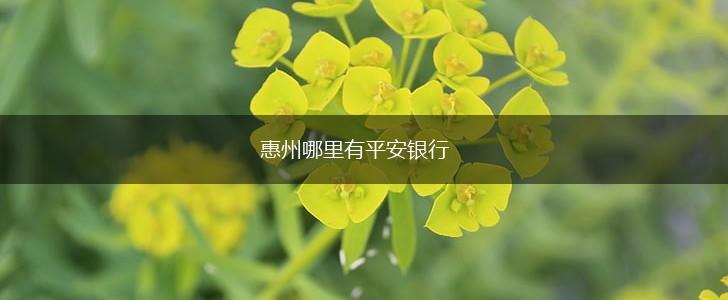 惠州哪里有平安银行,第1张