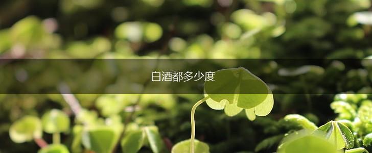 白酒都多少度,第1张