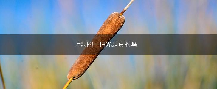 上海的一扫光是真的吗,第1张