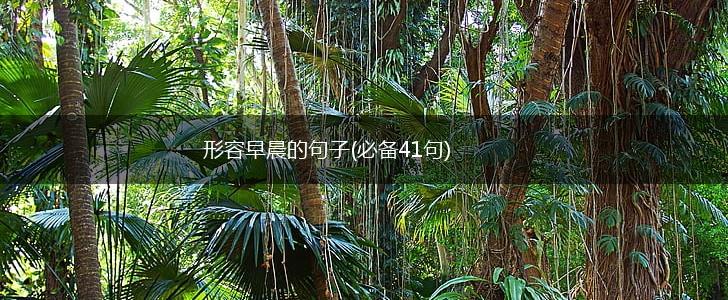 形容早晨的句子(必备41句),第1张