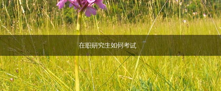 在职研究生如何考试,第1张