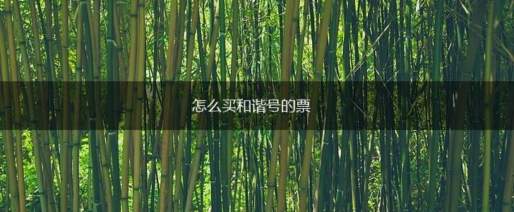 怎么买和谐号的票,第1张