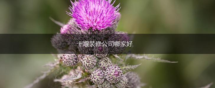 十堰装修公司哪家好,第1张