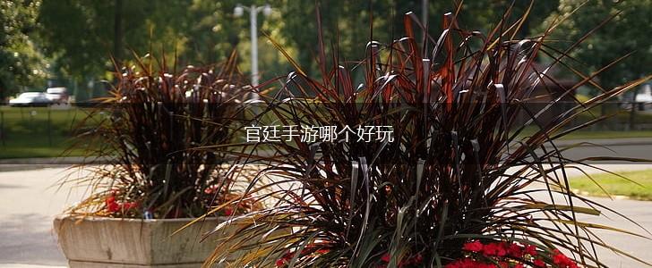 官廷手游哪个好玩,第1张