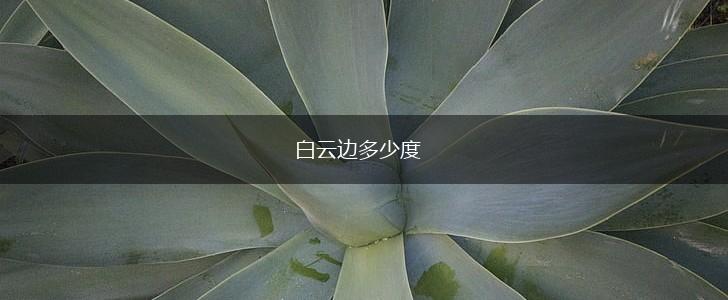 白云边多少度,第1张