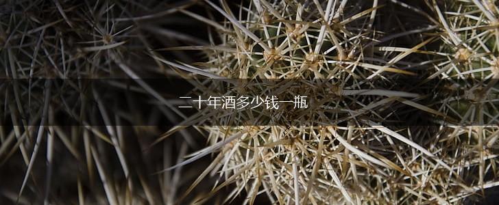二十年酒多少钱一瓶,第1张