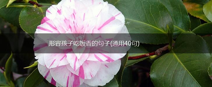 形容孩子吃饭香的句子(通用40句),第1张