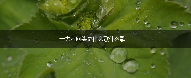 一去不回头是什么歌什么歌,第1张