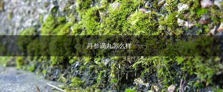 丹参滴丸怎么样,第1张