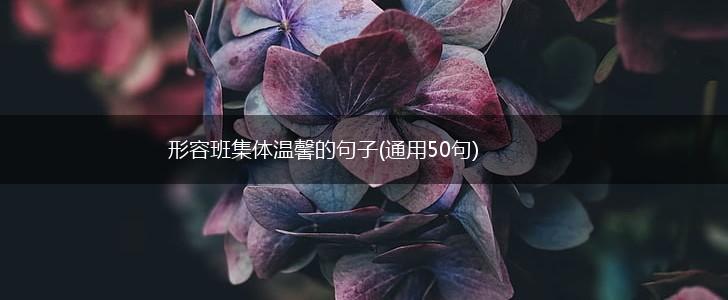 形容班集体温馨的句子(通用50句),第1张
