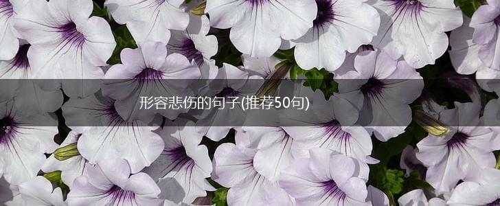 形容悲伤的句子(推荐50句),第1张