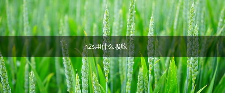h2s用什么吸收,第1张