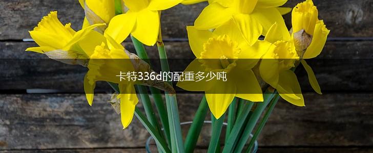 卡特336d的配重多少吨,第1张