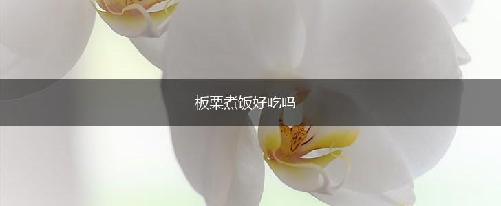 板栗煮饭好吃吗,第1张